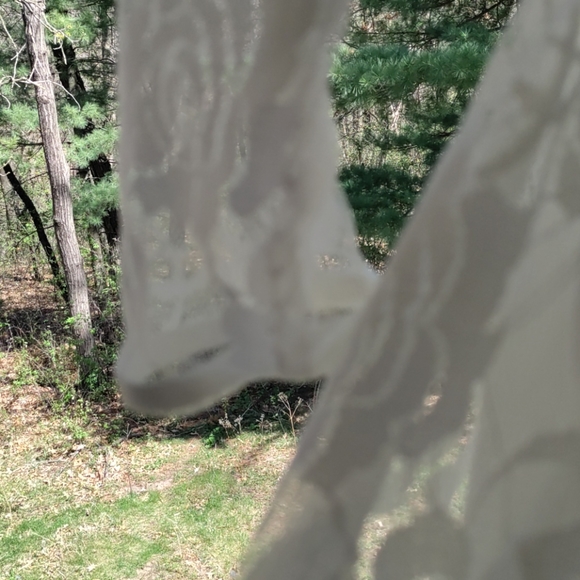 Kid's lace dress - Picture 3 of 6